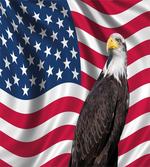Patriotic America