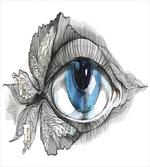 Human Eye Butterfly Dreamy