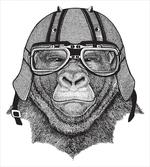 Hipster Grumpy Biker Ape