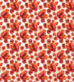 Red Poppy Flowers