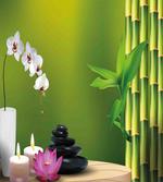 Bamboo Flower Orchid Stone