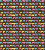 Animals with Circles