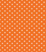Aquarium Fauna Pattern