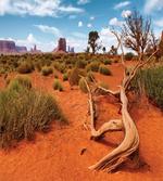 Arizona Valley Scenery