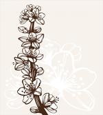Hand Drawn Petals