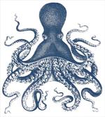 Grunge Sea Creature