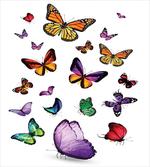 Flying Butterflies