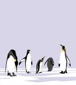 Polar Icy Land Winter
