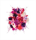 Bouquet of Exotic Flowers