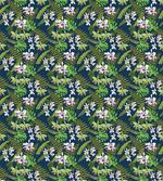 Rainforest Foliage Nature