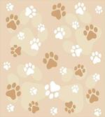 Baby Dog Pet Paws