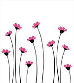 Pink Daisy Blossoms