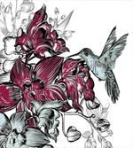 Orchids and Hummingbird