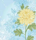 Romantic Chrysanthemum