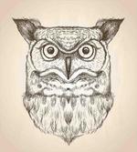 Wildlife Animal Head Sketch