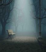 Mysterious Park Horror