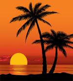 Orange Ombre Sunset and Trees