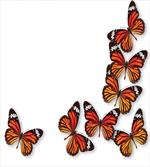 Spring Monarch Bug