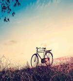 Sunset Bicycle Pastel