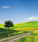 Rural Country Scenery