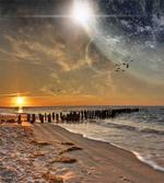 Solar Eclipse
