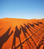 Camel Caravan Silhouette