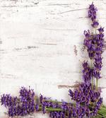 Lavender Flower Table