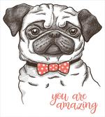 Portrait of a Dog Cartoon