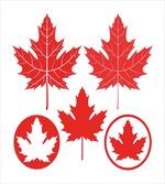 Canadian Flag Motifs