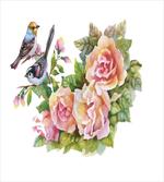 Sparrows on Roses