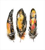 Colorful Boho Quills