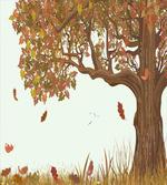 Deciduous Oak Leaves