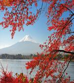 Mountainous Area Fall Season