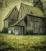 American Farmer Barn