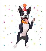 Birthday Dog