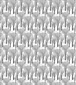Abstract Forest Birds