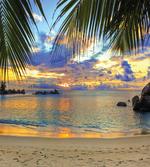 Exotic Beach Photo