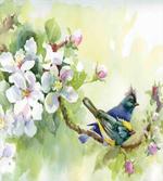 Watercolor Birds Spring