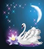 Magic Lily White Swan