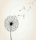 Flying Seeds Flower