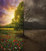 Life and Death Theme
