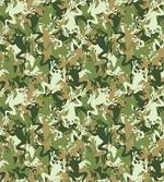 Skull Camouflage Design