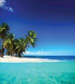 Seaside Nature Tropic