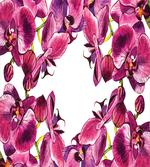 Fresh Spring Orchids Art