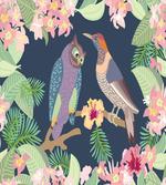 Exotic Birds Owl Avian