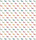 Little Dachshund Breeds