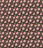 Gentle English Rosebuds