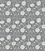 Daisy Petals Gardening
