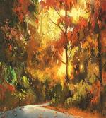 Autmn Leaf Tree Forest