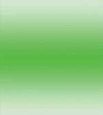 Moss Leaf Spring Theme